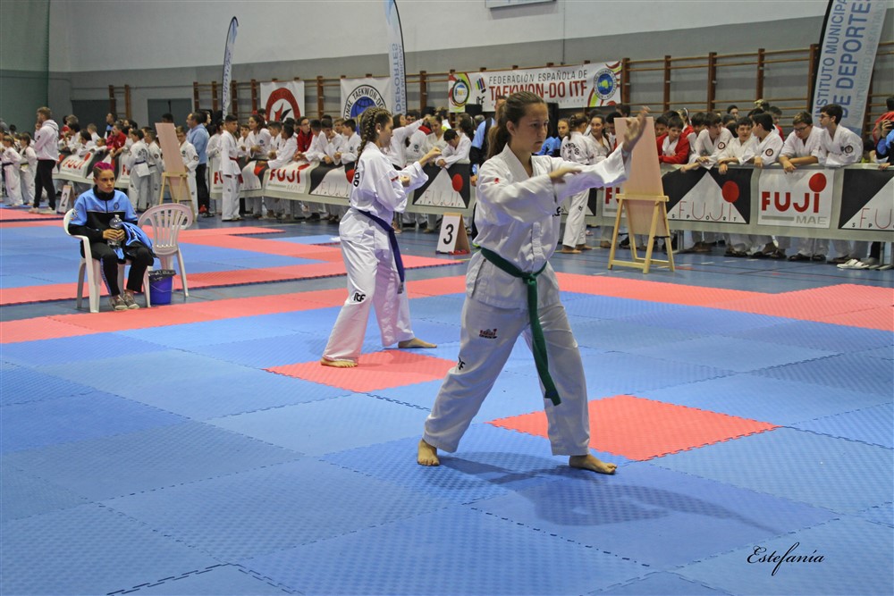 Copa Seul 2018 (393).jpg
